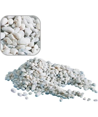AMTRA Gravel Noa - Natural Aquarium Decorative Floor White Coarse Grains 4-8mm - 2kg - Buy Online on SooperMarket.com
