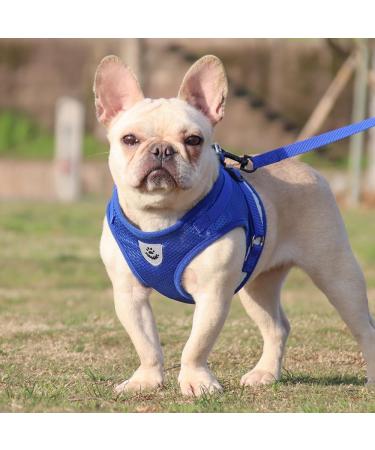 Buy Reflective Soft Padded Dog Harness & Cat Dishes for Small Dogs - Air-Mesh Leash Included | Perfect Fit for Puppies & Cats (Chest 29-33cm) - Blue - Buy Online on SooperMarket.com