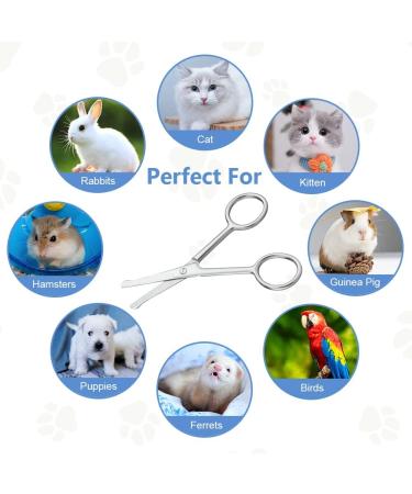 Buy Adiwo 10.5 cm Stainless Steel Dog Hair Scissors | Rounded Fur Scissors for Perfect Coat Care | International Shipping - Buy Online on SooperMarket.com
