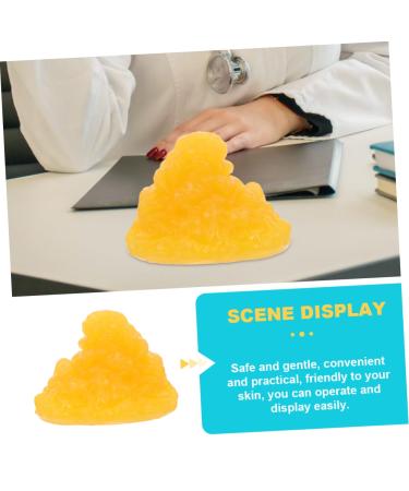 Gatuida Nutritionist 2pcs Fat Model Models Human Body Fat Replica Human Body 1-Pound Fat Replica Base Fitness Sports Fat 1lb - Buy Online on SooperMarket.com