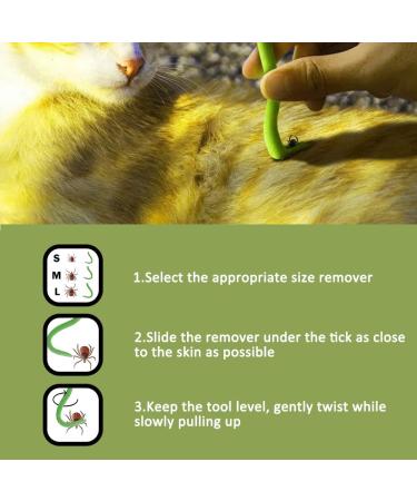 Nepfaivy Tick Remover Tool for Dogs - 3 Pcs Painlessly Tick Remover for Humans and Cats Pets Green - Buy Online on SooperMarket.com