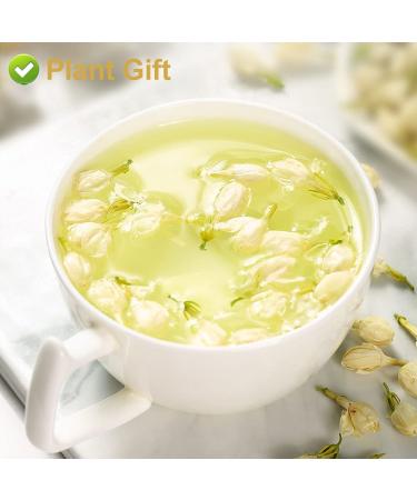 Organic Jasmine Tea - 100% Pure Dried Flowers | Loose Leaf Herbal Tea | 30g Jasmine Flower Mix & Essential Oil Extract - Buy Online on SooperMarket.com