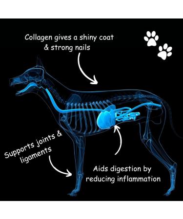 Venison Broth for Dogs | 100% Pure Protein Powder | Collagen & Gelatin | Glucosamine & Chondroitin | Hip & Joint Support | Digestion & Gut Health | Human-Grade | 35.00g Pack - Buy Online on SooperMarket.com