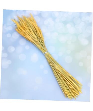 Warmhm 1 Rustic Decor Country Decor The Gift Home Accents Decor Handmade Wheat Dried Flowers Simulation Wheat Centerpieces Natural Blond Wheat Ears of Wheat Decorate Bouquet - Buy Online on SooperMarket.com