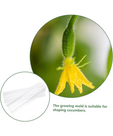 Milisten Horticulture 3pcs Vegetable Shaping Mold Strawberry Garden Tools Cucumber Molds As Shown 20x6cm - Buy Online on SooperMarket.com
