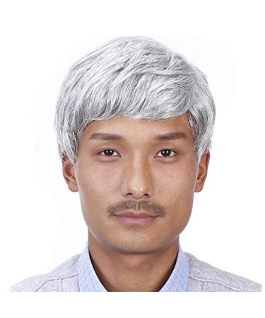 BGHJUE Mens Wig Male Hair Old Man Wig Gray Short Straight Daily Bobo Wigs Bgray White