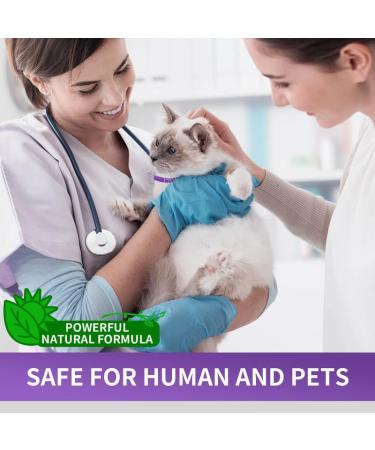 Calming Collar for Cats - Anxiety Relief and Natural Calm Treatment - Adjustable, Waterproof, Pheromone-Infused - 2 Pcs Purple - 60 Day Supply - for Kittens and Medium to Large Cats - Buy Online on SooperMarket.com