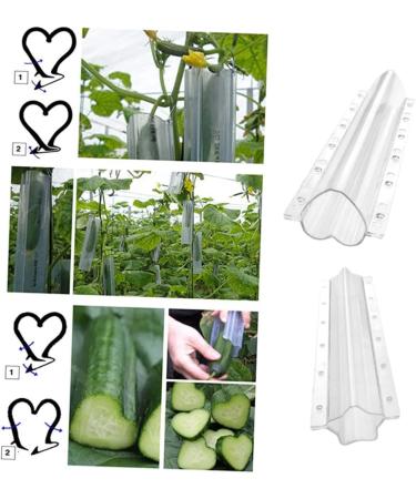 Kisangel 2pcs Shaped Silicone Fruit Stereotypes Fruit Child Plant - Buy Online on SooperMarket.com