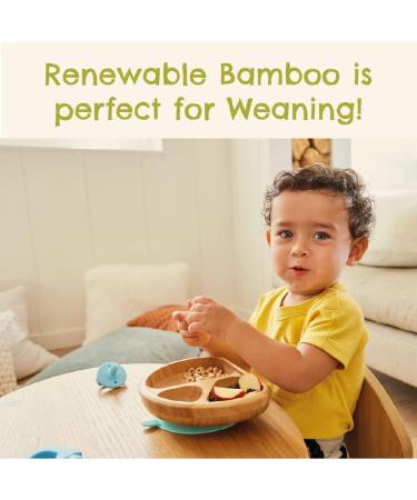 Munchkin Bambou Divided Plate - Stay Put Suction Plate for Babies & Toddlers | BPA Free Bamboo Plate for Baby Weaning | Kids' Mealtime Essential - Buy Online on SooperMarket.com