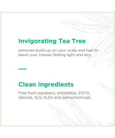 Soapbox Tea Tree Shampoo - Sulfate, Paraben, and Silicone Free, Color Safe, Vegan Hair Shampoo - 33.8 oz - Buy Online on SooperMarket.com