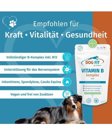 Dog Fit by Prethis - Vegan B Vitamin Complex for Dogs | Nerve Strengthening Incontinence & Nervousness Support | Large Animals (25kg+) - Buy Online on SooperMarket.com