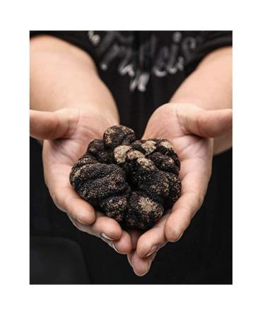 The Truffleist Black Truffle Olive Oil 8.5 Fl Oz - Premium Truffle Infused Oil - Buy Online on SooperMarket.com