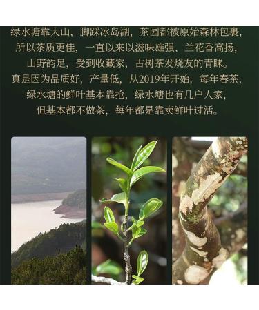 Pu-erh tea 2022 SHENG JIA YUAN green pond 357g Raw - Buy Online on SooperMarket.com