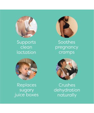 Greater Than Vegan Breastfeeding Support & Milk Supply Aid - Organic Postpartum Nursing Supplement | No Sugar, Gluten-Free, Keto | Coconut Water Electrolyte Drink Variety Pack - Best Sellers - Buy Online on SooperMarket.com
