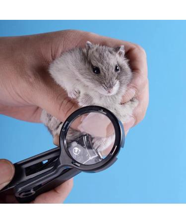 HAICHEN TEC Guinea Pig Nail Clippers with Magnifying Glass - Stainless Steel Claw Toenail Trimmer for Small Animals - Pet Grooming Supplies - Buy Online on SooperMarket.com