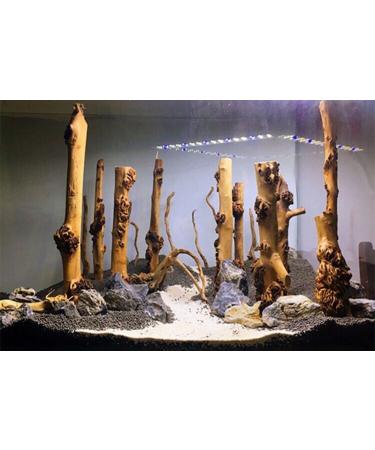 emours Reptile D cor Natural Forest Branch Terrarium Wood Aquarium Ornament 4 Pack - Buy Online on SooperMarket.com