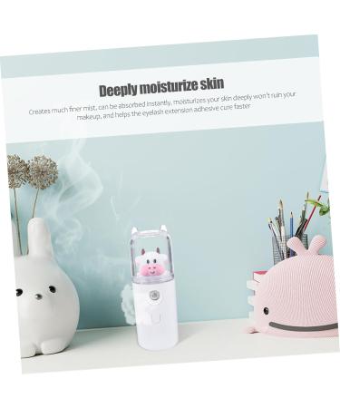 Baluue Moisturizer Hydrating Humidifier Mini Air Humidifier Spray Humidifier White Plastic Material - Buy Online on SooperMarket.com