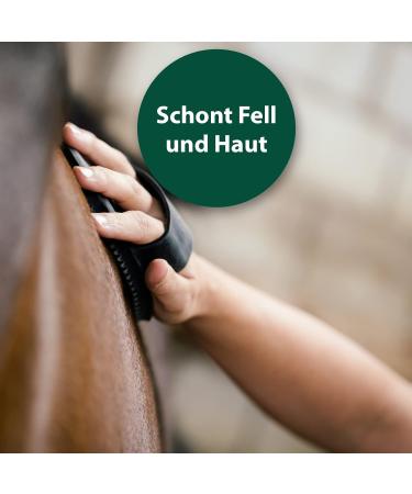 Equisept Fly Spray for Horses - 3L Insect Spray Canister | Mosquito & Horse Skin Care - Veterinarian Recommended Doping-Free - Buy Online on SooperMarket.com