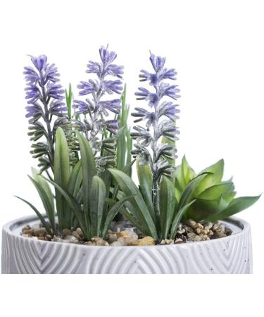 Artificial Succulent Plants Potted Essential Oil Diffuser with 7 Colors LED Light - Grey | Aromatherapy Ceramic Cool Mist Diffuser for Home and Office - Buy Online on SooperMarket.com