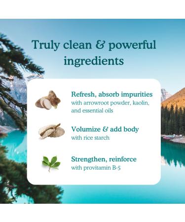 Dry Shampoo Powder Refill | Natural Eco-Friendly & Plastic-Free | Refresh & Volumize | Made in USA | 6x Refill Pack - Buy Online on SooperMarket.com
