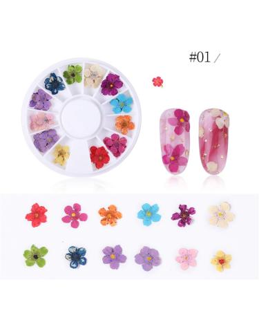 Sunflower Nail Petals Dry Flower Set - Daffodil Star Five Small Nail Art Decorations | A281, One Size - Buy Online on SooperMarket.com