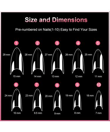 600PCS Clear Short Stiletto Nail Tips - Acrylic False Nail Tips for Salons & DIY Nail Art - 10 Sizes - Buy Online on SooperMarket.com