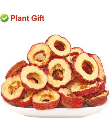 PlantGift Hawthorn Berry 80G/2.82oz China Medicinal Herb (Shanzha/Dried Hawthorne) Dried Bulk Health Tea Hawthorn Berries - Buy Online on SooperMarket.com