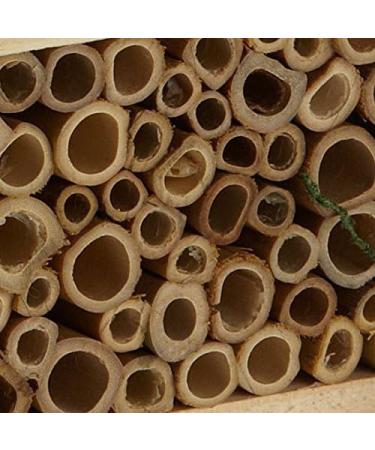 Wildlife Republic Insect Log Cabin Bee and Bug Home Insect Hotel - Buy Online on SooperMarket.com