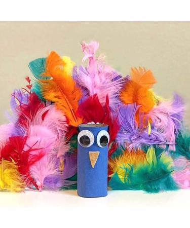 Coceca 300pcs Colorful Feathers for DIY Craft, Wedding, and Party Decor - Buy Online on SooperMarket.com