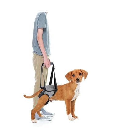 Hamon portable dog harness for the hind legs wearing aid dog back dog lifting harness dogs for the hind legs for older sick or operated dogs (m)