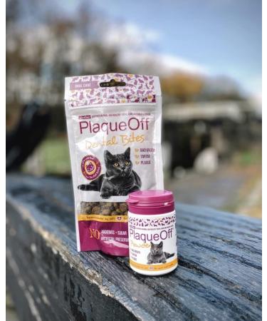 ProDen PlaqueOff Dental Bites Cat 60 g For Cats Bad Breath Plaque Tartar Brown package may vary - Buy Online on SooperMarket.com