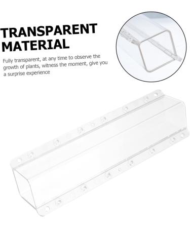 Kisangel 2pcs Square Cucumber Vegetables Vegetable Grow Forming Mould Tool Fruit Container - Buy Online on SooperMarket.com