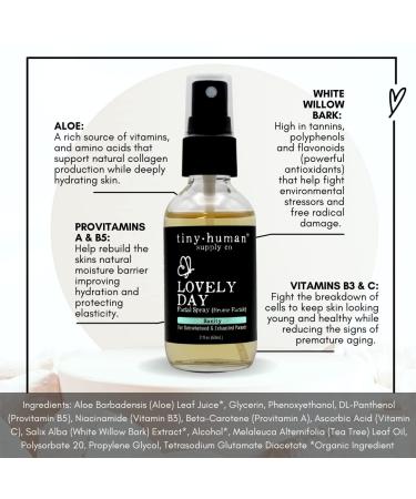 Lovely Day Facial Spray - Refreshing Antioxidant Mist for Exhausted Parents | Sanity Spray Reimagined - Buy Online on SooperMarket.com