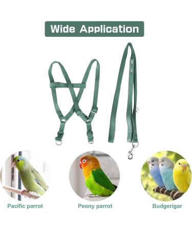 Felenny Bird Dishes & Adjustable Leash - Essential Outdoor Accessories for Scarlet Red Ara Sun Conure & Nymphensittich (Green Small) - Buy Online on SooperMarket.com