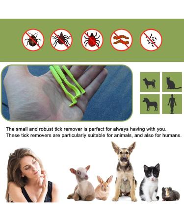Nepfaivy Tick Remover Tool for Dogs - 3 Pcs Painlessly Tick Remover for Humans and Cats Pets Green - Buy Online on SooperMarket.com