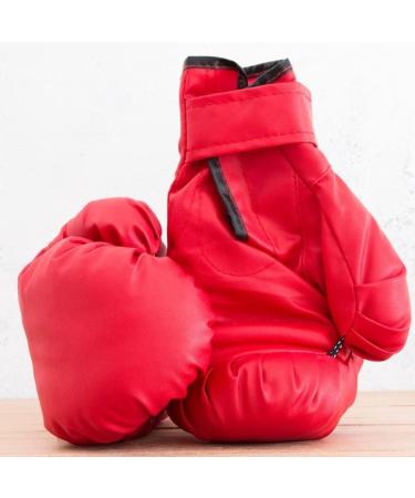 PiscatorZone Adult Boxing Gloves - Black & Red Kickboxing Professional Gloves (2 Pair) for Punch Bag - Buy Online on SooperMarket.com