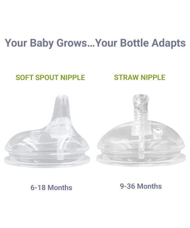 Anpei Soft Spout & Straw Nipple Set for Comotomo Baby Bottles - Pack of 2 with Storage Case - Buy Online on SooperMarket.com