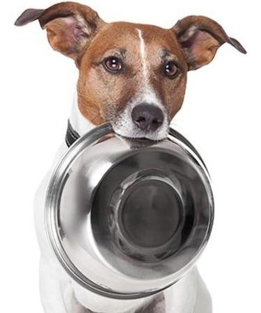 Munch & Crunch Large 19.5cm Stainless Steel Pet Bowl Silver One Size - Buy Online on SooperMarket.com