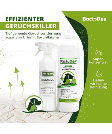 Buy BACTODES 2L Animal Odor Neutralizer - Strong Enzyme Cleaner for Cat & Dog Urine - Effective Organic Microbe Spray - 1 Pack - Buy Online on SooperMarket.com