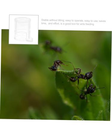 POPETPOP 2pcs Pet Water Feeder Pet Stuff Pet Water Bowl Ant Villa Ants Drinking Tool Small Water Cup - Buy Online on SooperMarket.com