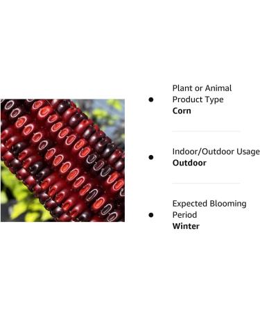 Jimmy Red Moonshine Grits Premium Heirloom Corn Seed Packet - Buy Online on SooperMarket.com