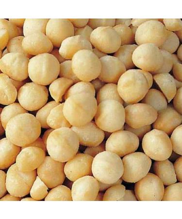 Farm Fresh Nuts Dry Roasted Macadamia Nuts Unsalted - 1 lb. Keto & Vegan Friendly - Buy Online on SooperMarket.com