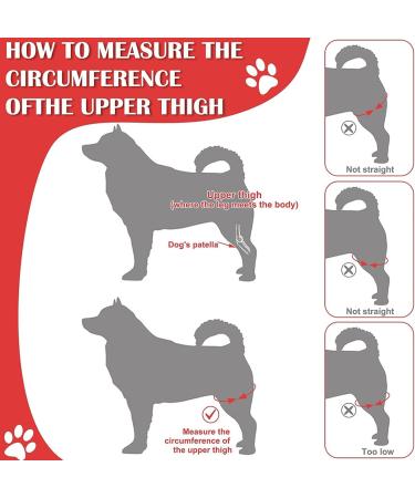 Dog Leg Brace Arthritis Relief Joint Protection Pain Reduction 1 Pair Flexible Dog Knee Pads Recovery (S for 3 to 12 Months) - Buy Online on SooperMarket.com
