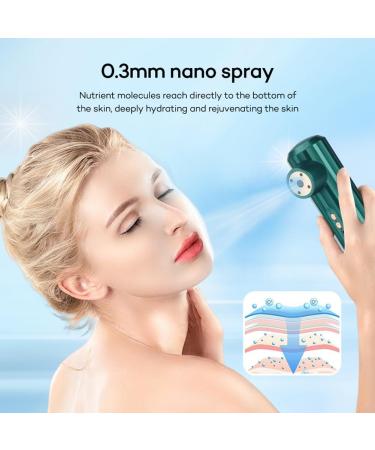 Closer 1Set Face Moisturizing Nebulizer Oxygen Injection Instrument Skin Care Tools Green - Buy Online on SooperMarket.com