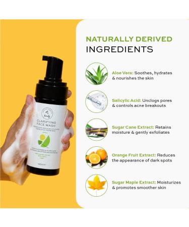The Natural and Organic Family Clarifying Face Wash with Salicylic Acid - Facial Cleanser for Oily Normal and Combination Skin - Exfoliating Pore Minimizing Formula for Teens and Kids Face Wash Apple - Buy Online on SooperMarket.com