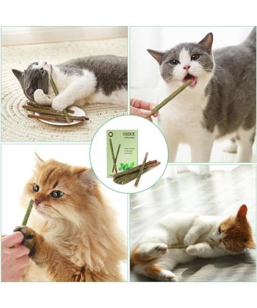 OSDUE 12PCS Cat Catnip Sticks Catnip Toys for Cats Teething Toys Cat Chew Toy Teeth Clean Chewing Grindin for Cat Kitten Kitty Natural Wood Sticks for Cats Play and Relax A-12 PCS Cat Catnip Sticks - Buy Online on SooperMarket.com