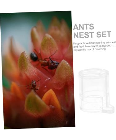 Minkissy 4pcs Pet Water Feeder Ant Farm Castle - Acrylic Ant Habitat & Drinking Tool Accessories 2.8x2.5cm - Buy Online on SooperMarket.com