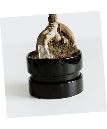 Hohopeti Pet Water Feeder Ants Feeding Bowl Insect Water Feeder Transparent Ants Feeding Cup Plastic - Buy Online on SooperMarket.com