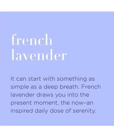 Organic French Lavender Hand Cleansing Wipes - 210 Pack | Biodegradable, Plant-Derived Alcohol with Pure Essential Oils - Buy Online on SooperMarket.com