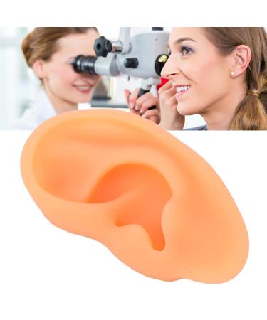 Flexible Waterproof Silicone Ear Model (Right) - Professional Hospital Display - Buy Online on SooperMarket.com